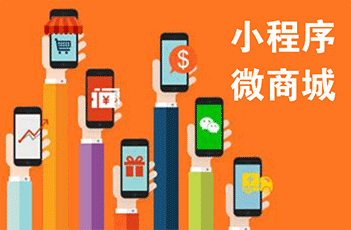 开发小程序商城