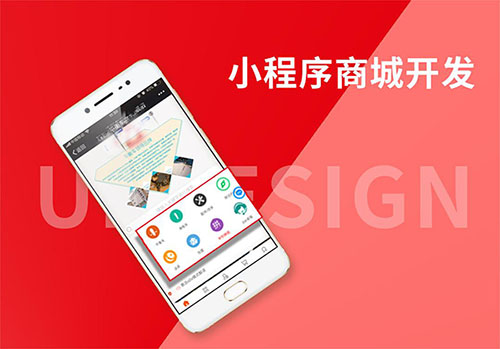 东莞小程序开发公司