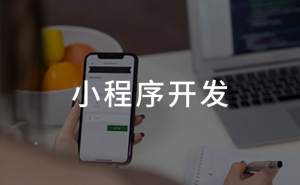 东莞小程序开发公司