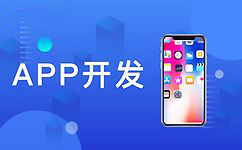 APP开发公司