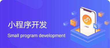 东莞小程序开发，软件定制开发公司