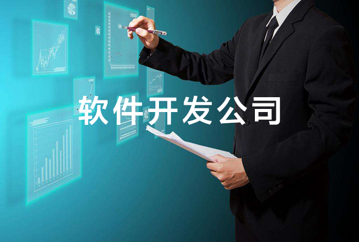 软件开发公司管理，软件开发公司人才分配， 小程序定制开发