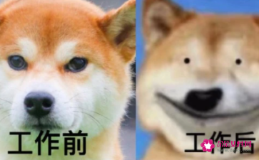 东莞小程序开发费用怎么样，小程序开发贵吗
